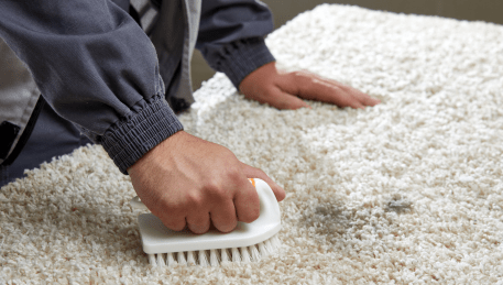 Professional Rug Cleaning Balaclava