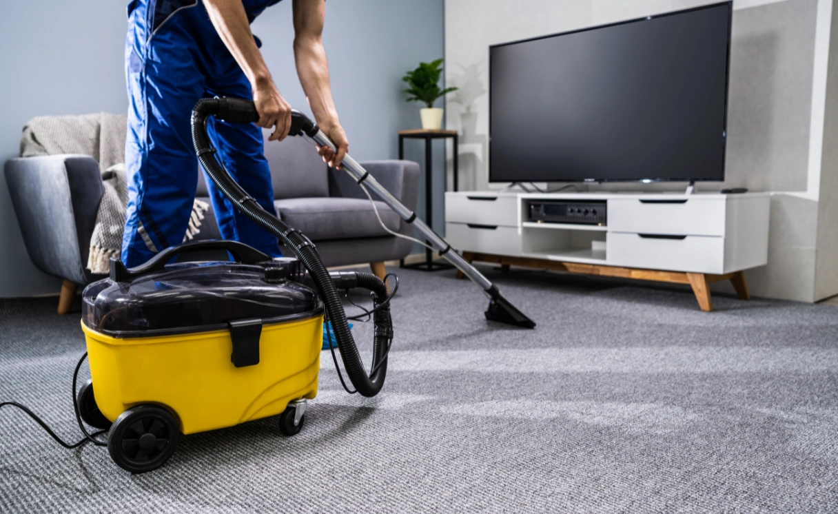 Extract Rug Cleaning Balaclava Contact Office